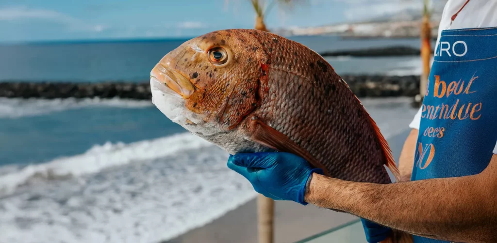 Pescado Fresco Bésame Mucho Tenerife